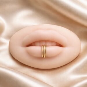 SIMULADOR DE LABIOS C