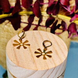 Aretes mini, ANANCES