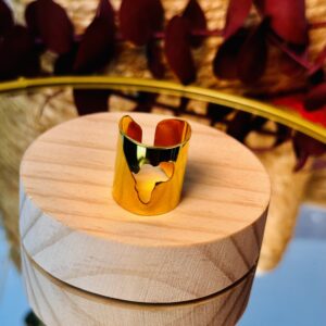 ANILLO UNIXES AFRICA