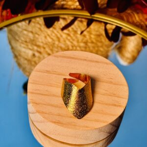 Anillo Maravilla (edición espacial)